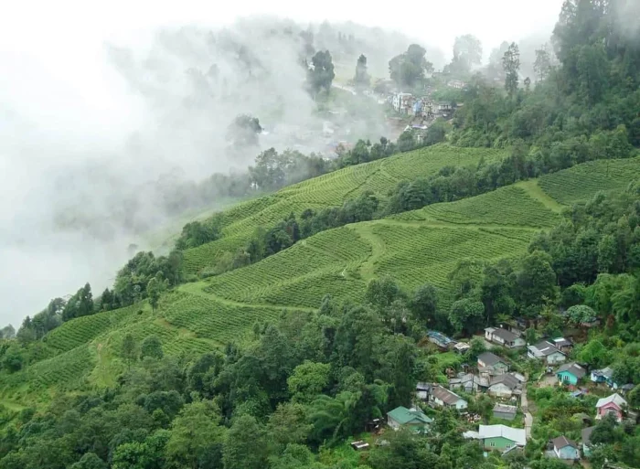 Best Road trips in india Darjeeling to Pelling