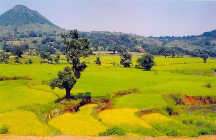 Best Road trips in india Visakhapatnam to Araku Valley