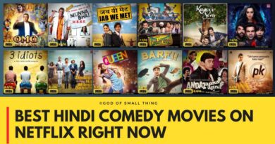 Best Hindi Comedy Movies on Netflix