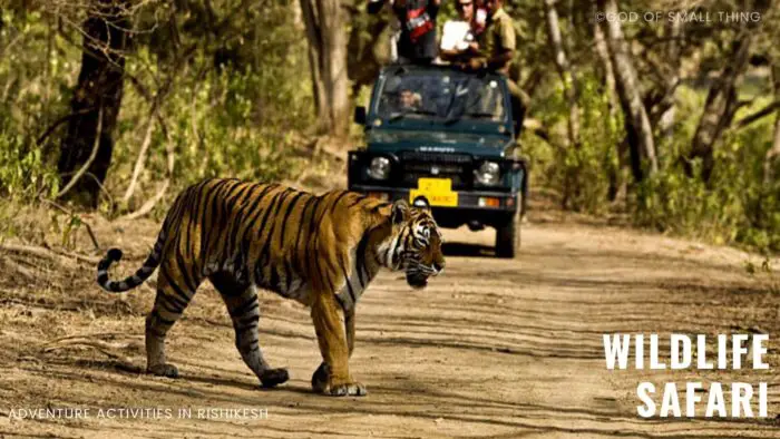 Wildlife safari Rishikesh Adventure Sports