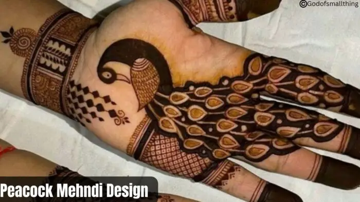 Best New Mehandi Design 