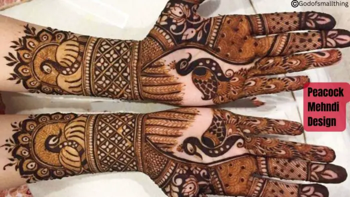 Best Bridal Mehndi Designs