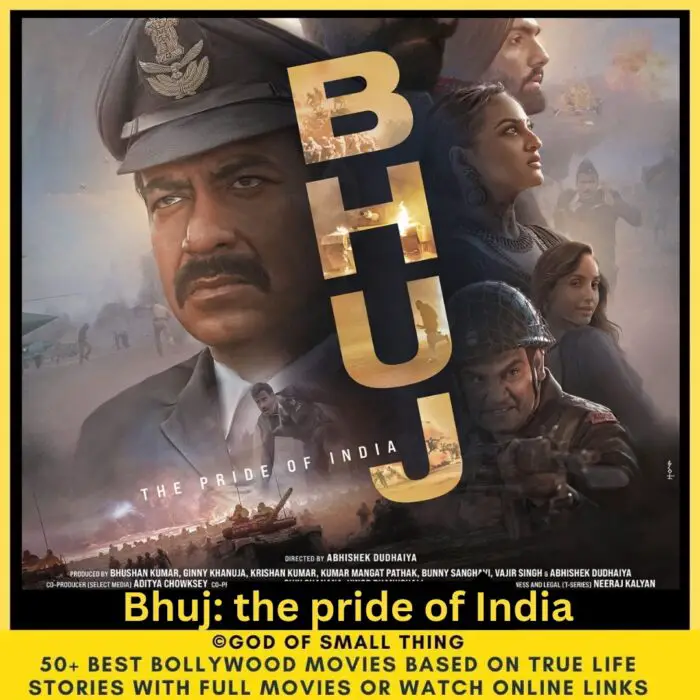 Bollywood movies based on true stories imdb