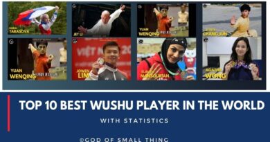 Top 10 Best Wushu Player in the World